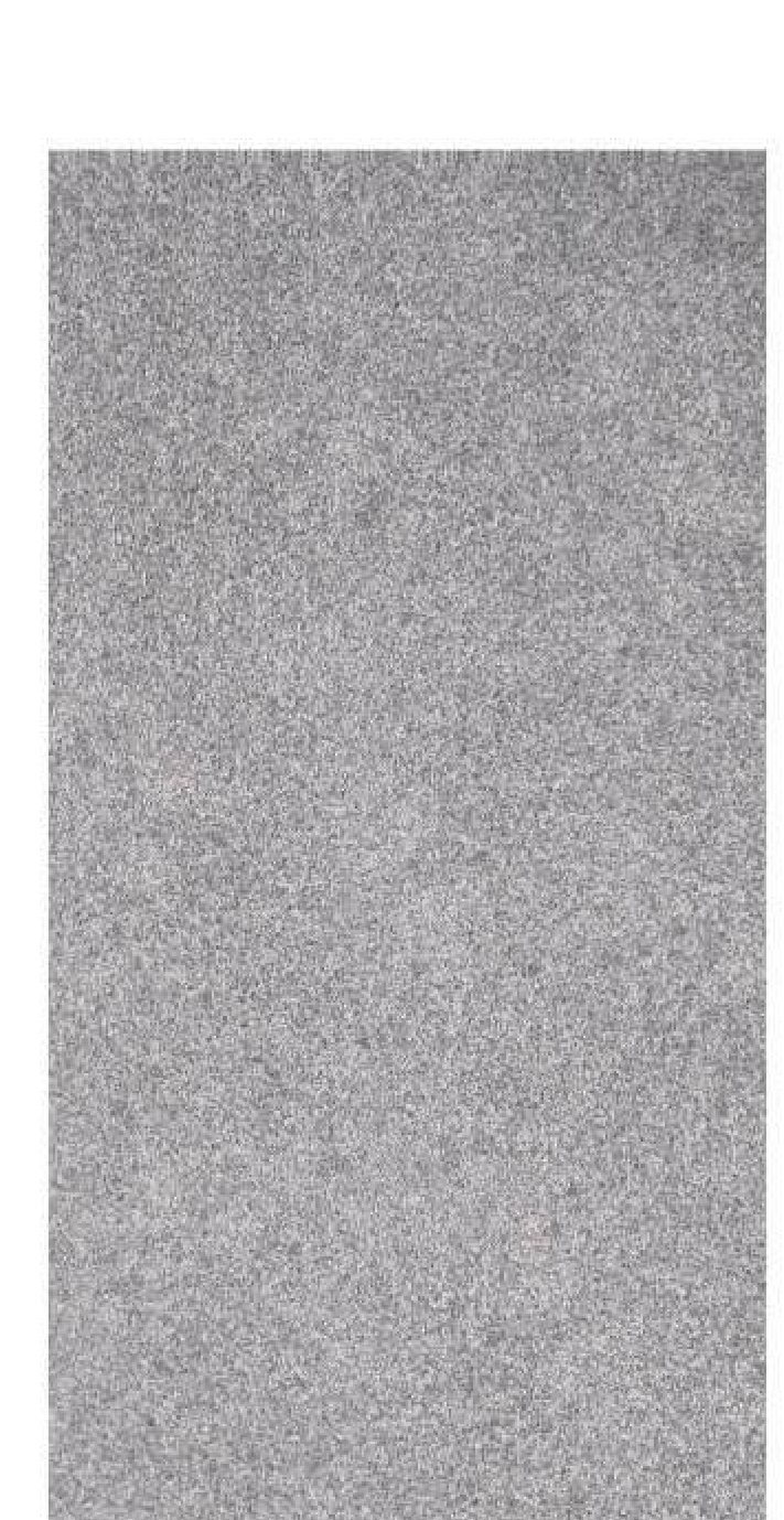 Granite 20mm porcelain paving