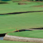 Masters Turf